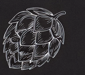 Hopfen Illustration